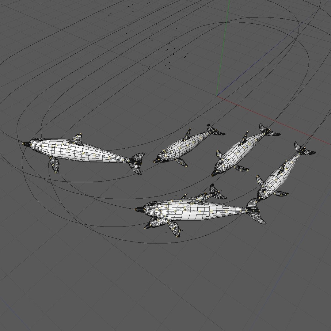 3D group dolphins swimming animation model - TurboSquid 1197522