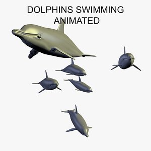 Animated Group of Dolphins Swimming