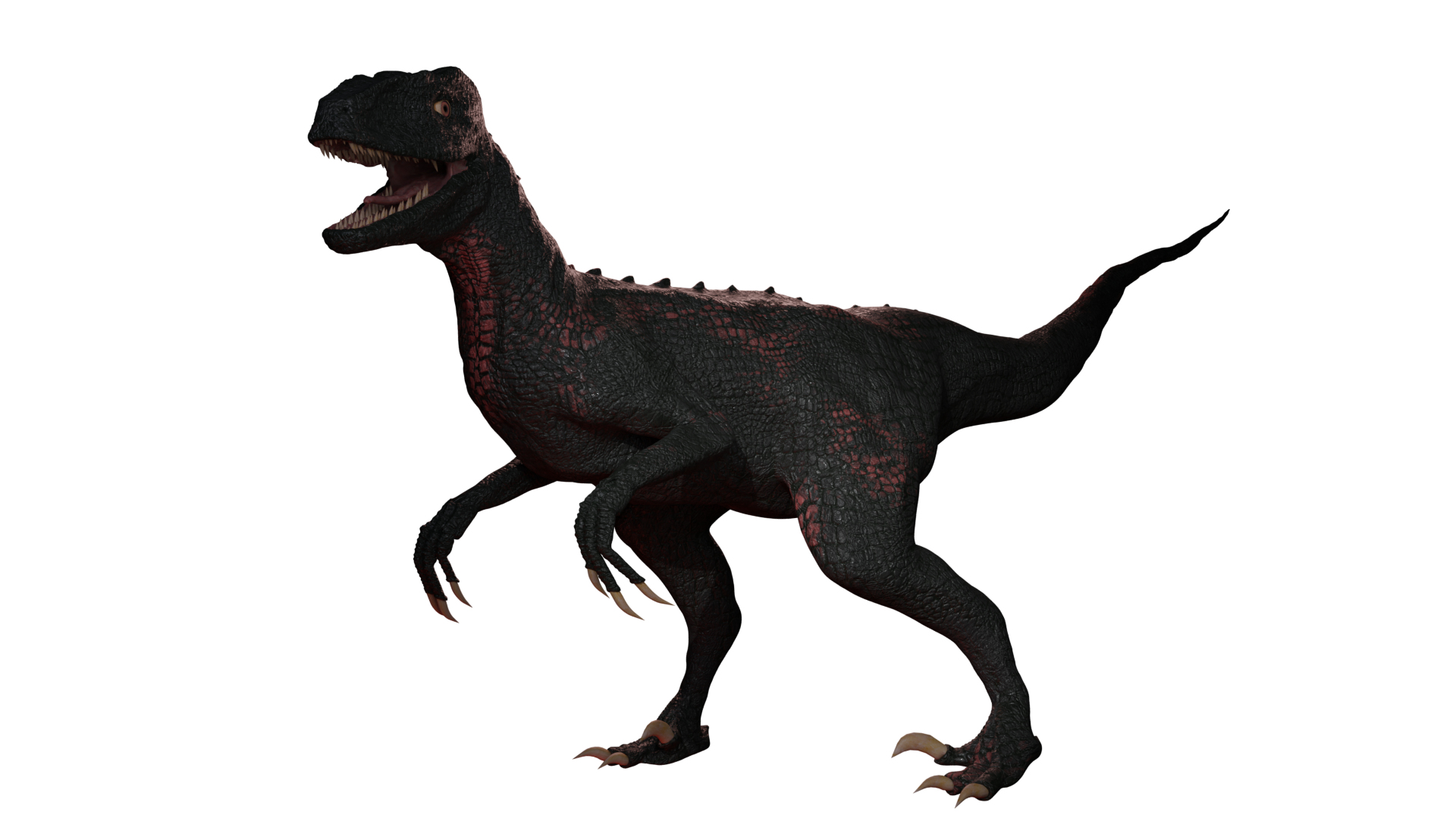 Raptor 3d Model 3D model - TurboSquid 1969753