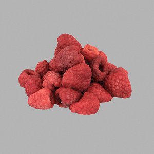 Raspberry 3D Models for Download | TurboSquid