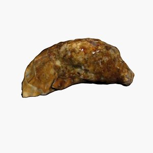 Oyster 3D Scan High Quality model