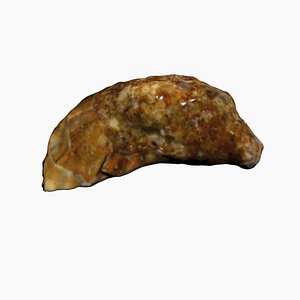 Oyster 3D Scan High Quality