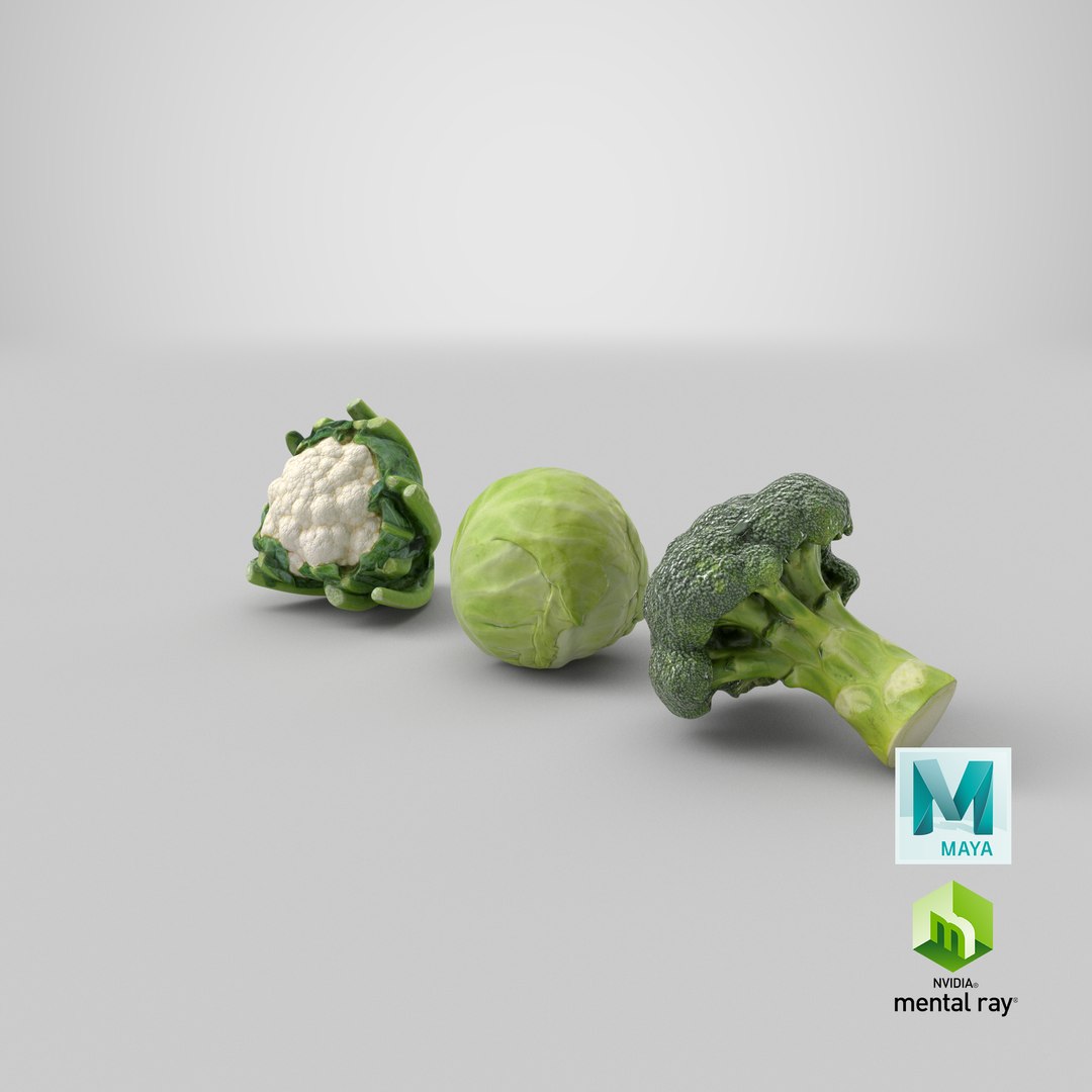 3D Cauliflower Cabbage and Broccoli https://p.turbosquid.com/ts-thumb/Y3/f48Lhm/1m/stemcell_maya_mental_ray_render/png/1648264543/1920x1080/fit_q87/a431b9fc2139cf2a2e2c098d15764ca5096697bd/stemcell_maya_mental_ray_render.jpg