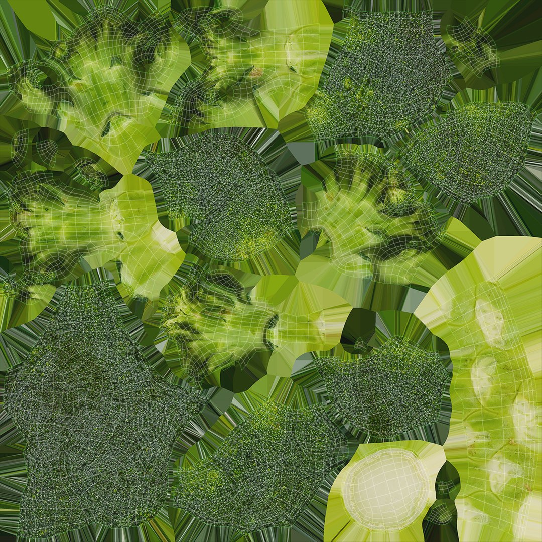3D Cauliflower Cabbage and Broccoli https://p.turbosquid.com/ts-thumb/Y3/f48Lhm/4K/wholebroccoli_d0004/jpg/1646469649/1920x1080/fit_q87/ed67aad772f505475cf1a8fff874a8e958f4e22b/wholebroccoli_d0004.jpg