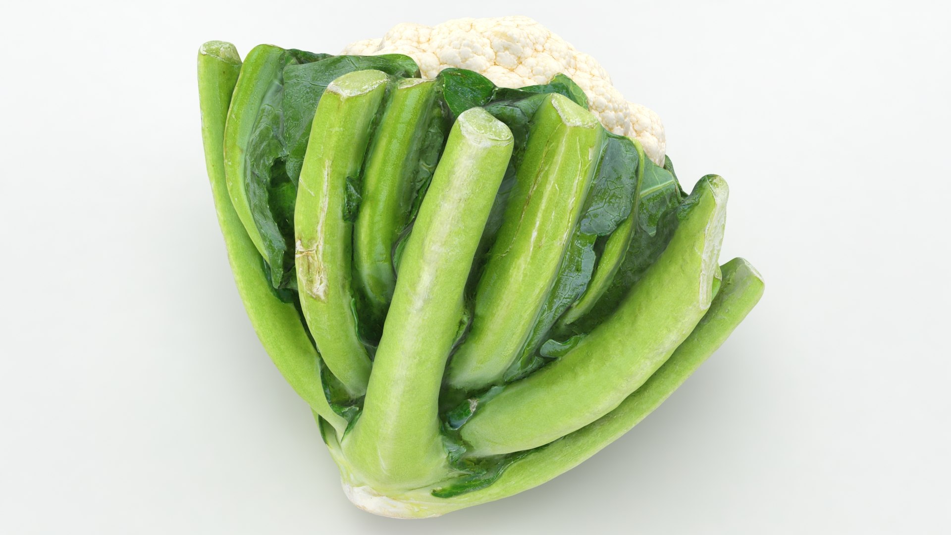 3D Cauliflower Cabbage and Broccoli https://p.turbosquid.com/ts-thumb/Y3/f48Lhm/7q/cauliflower_b0010/jpg/1647073453/1920x1080/fit_q87/f9267da7daffbb0c9514cee6dfae91bd6230d47d/cauliflower_b0010.jpg