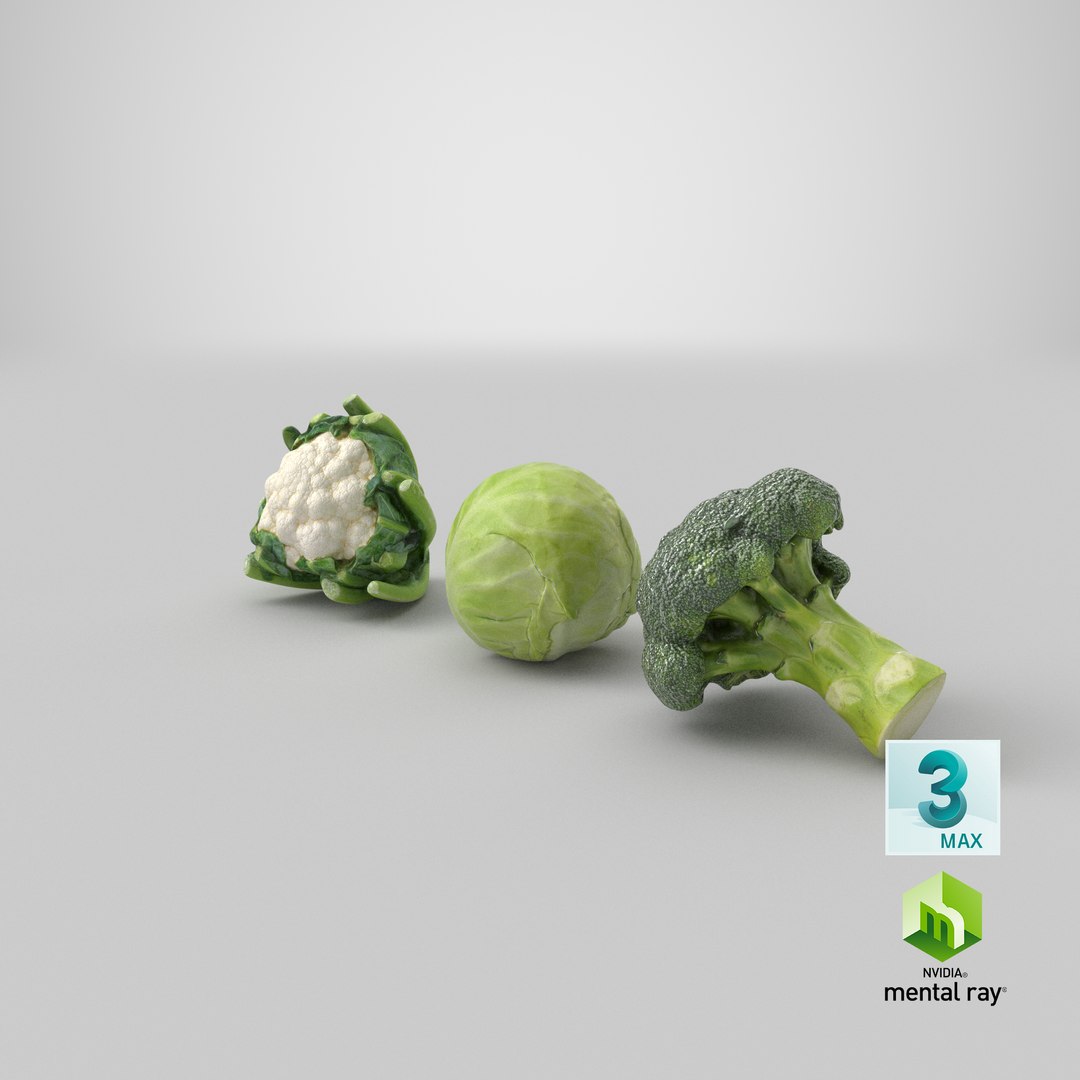 3D Cauliflower Cabbage and Broccoli https://p.turbosquid.com/ts-thumb/Y3/f48Lhm/Aj/stemcell_max_mental_ray_render/png/1648264535/1920x1080/fit_q87/0132cb0a61b31b52e8cbd5a134938fccebf36d6d/stemcell_max_mental_ray_render.jpg