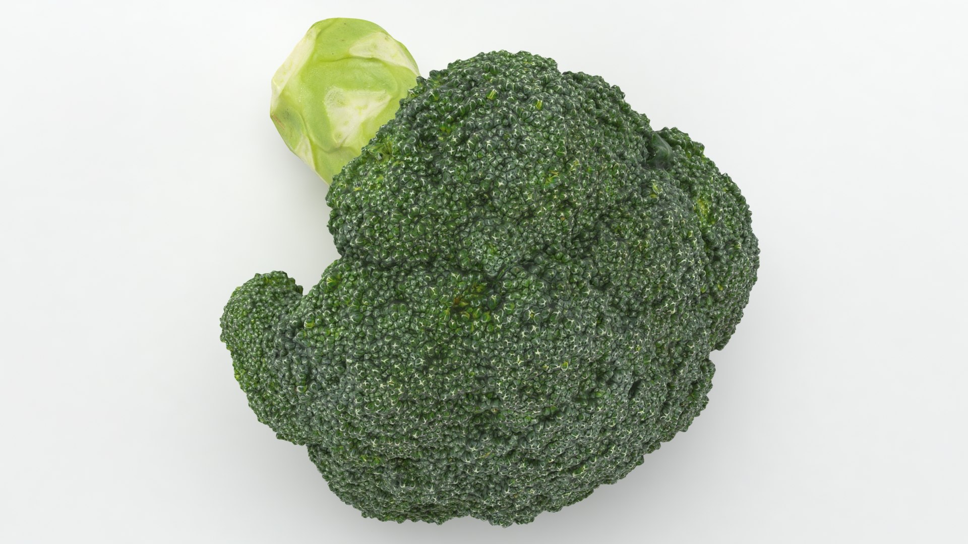 3D Cauliflower Cabbage and Broccoli https://p.turbosquid.com/ts-thumb/Y3/f48Lhm/Cg/wholebroccoli_b0006/jpg/1647073387/1920x1080/fit_q87/7ce40e06eb7b3cc5d662c994c41d24ed99745b71/wholebroccoli_b0006.jpg