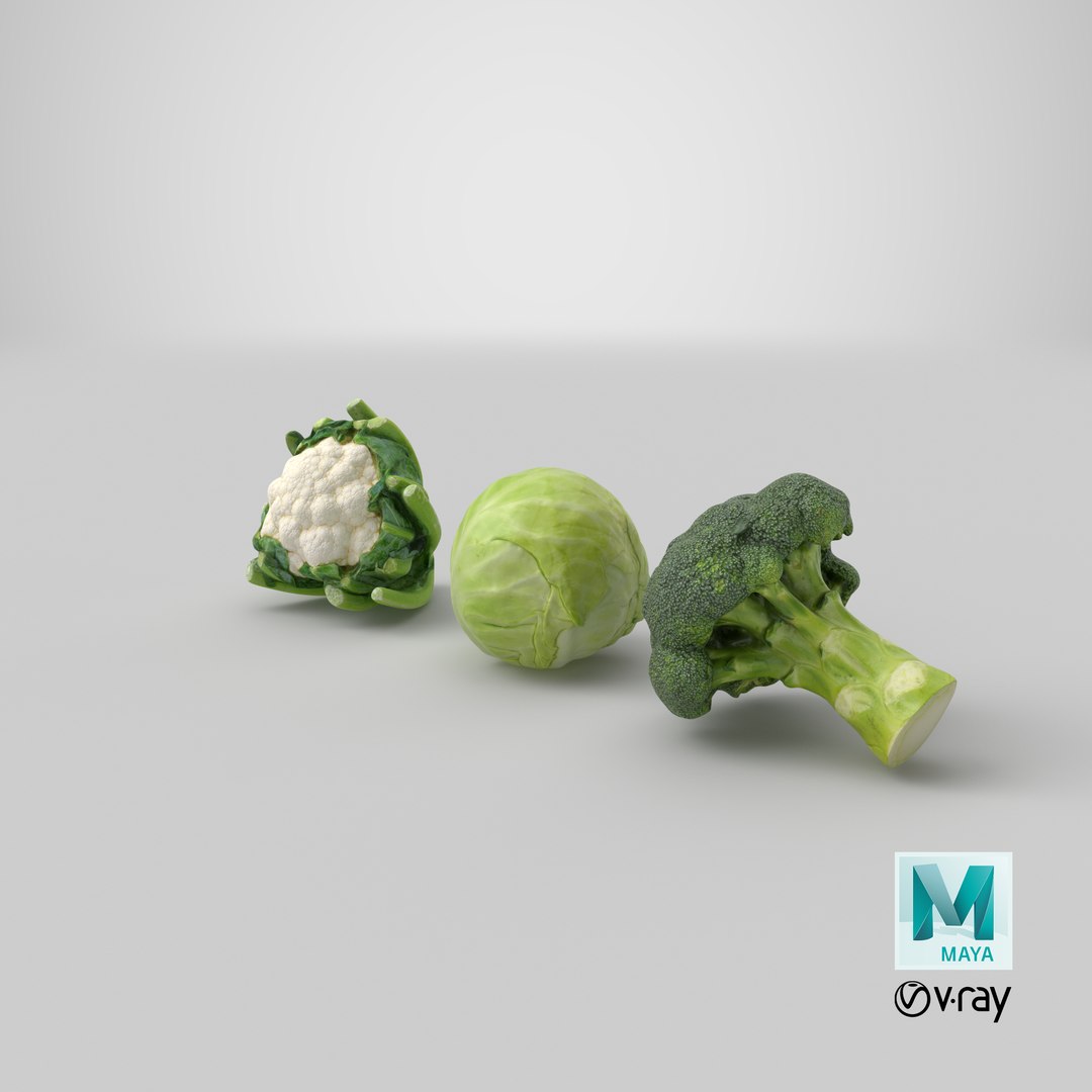 3D Cauliflower Cabbage and Broccoli https://p.turbosquid.com/ts-thumb/Y3/f48Lhm/Dm/stemcell_maya_vray_render/png/1648264545/1920x1080/fit_q87/3cc3315ff0bb0e93b06e1ca9faf73fd3ec1c7b49/stemcell_maya_vray_render.jpg