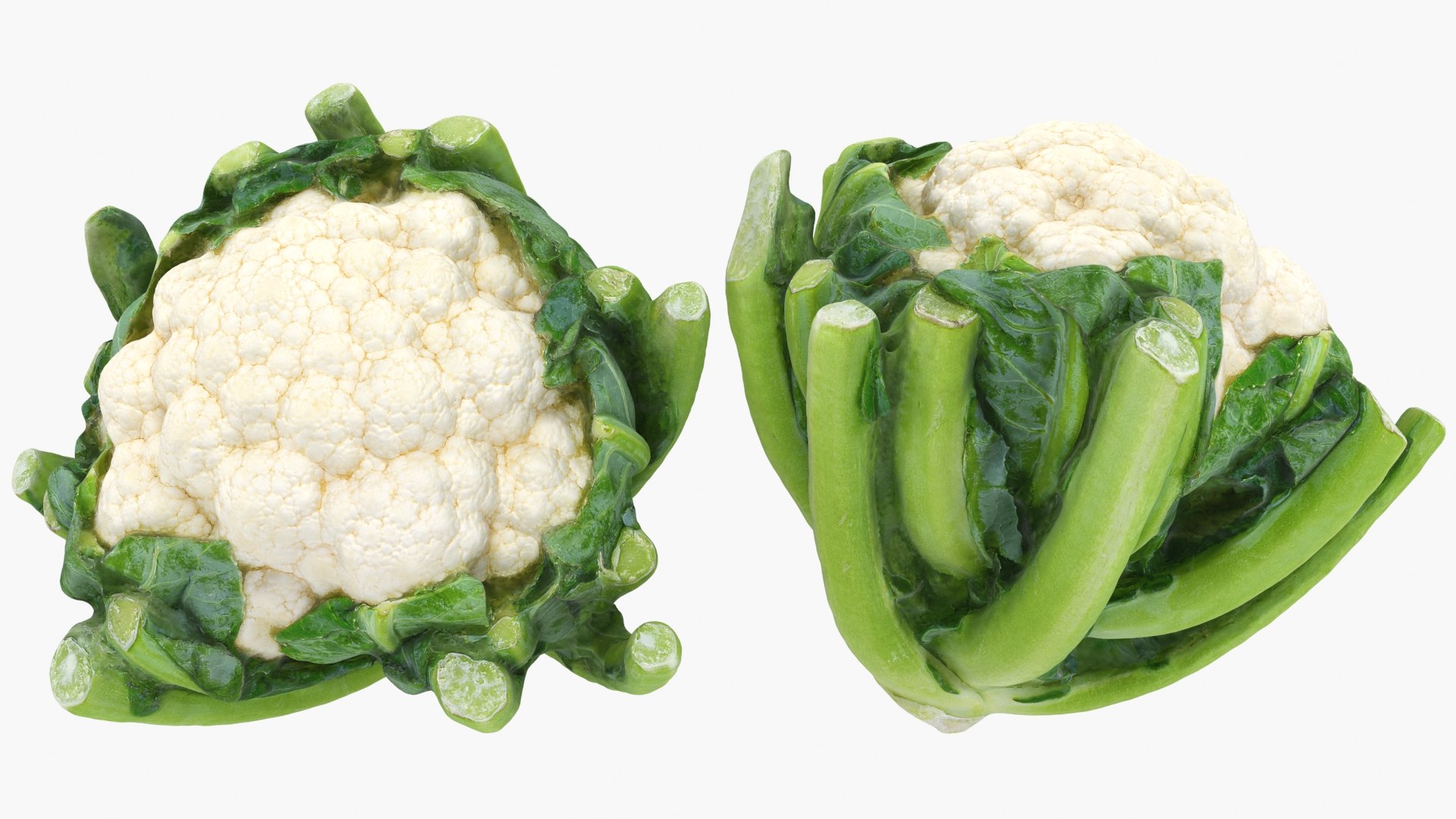 3D Cauliflower Cabbage and Broccoli https://p.turbosquid.com/ts-thumb/Y3/f48Lhm/GJ/cauliflower_a0002/jpg/1642317380/1920x1080/fit_q87/2dba750953ca88d55ec8ec517b6ee2850cca8824/cauliflower_a0002.jpg