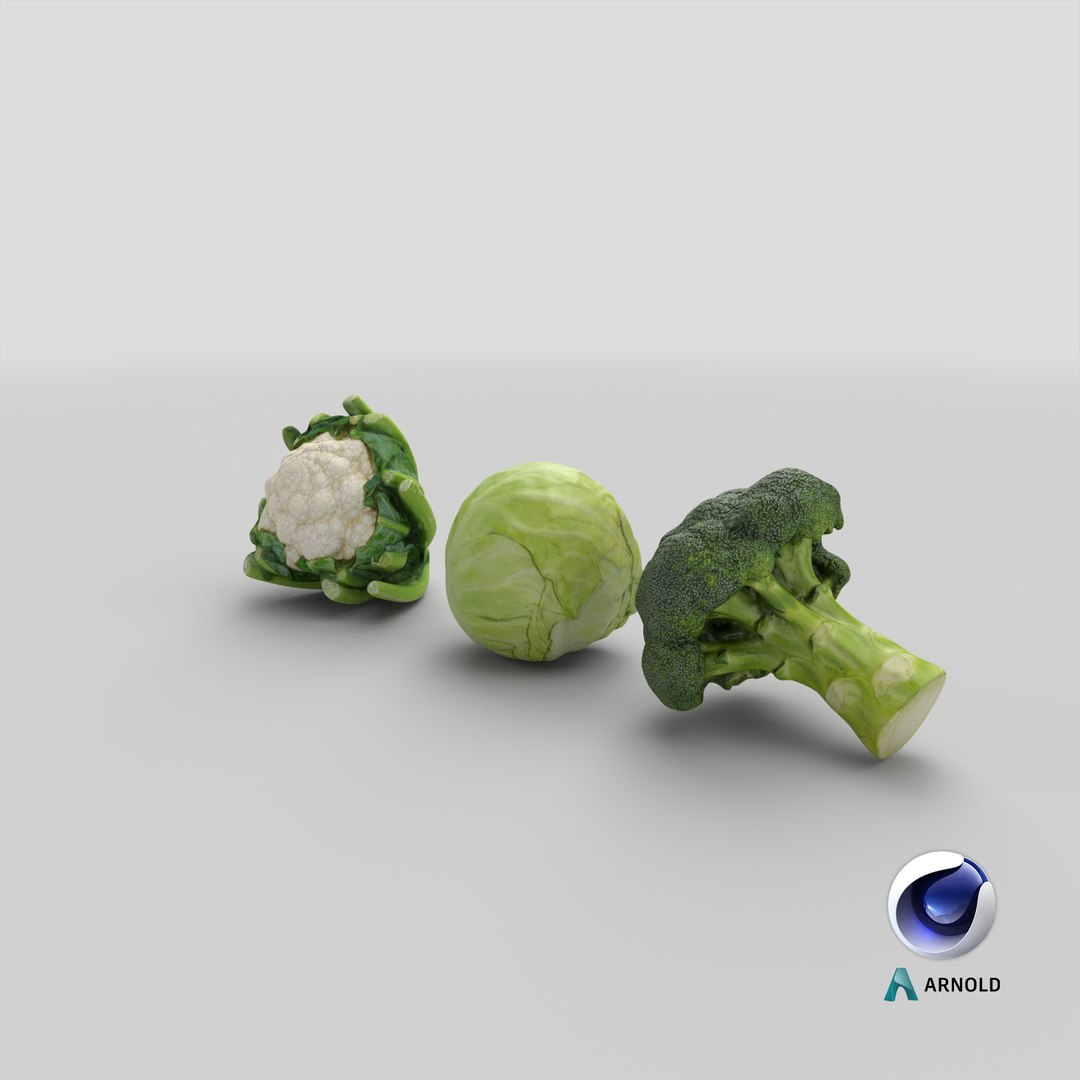 3D Cauliflower Cabbage and Broccoli https://p.turbosquid.com/ts-thumb/Y3/f48Lhm/Ij/stemcell_cinema_4d_arnold_render/png/1648264528/1920x1080/fit_q87/750aa8ad92485d572d6711ab090802e3969e2e19/stemcell_cinema_4d_arnold_render.jpg