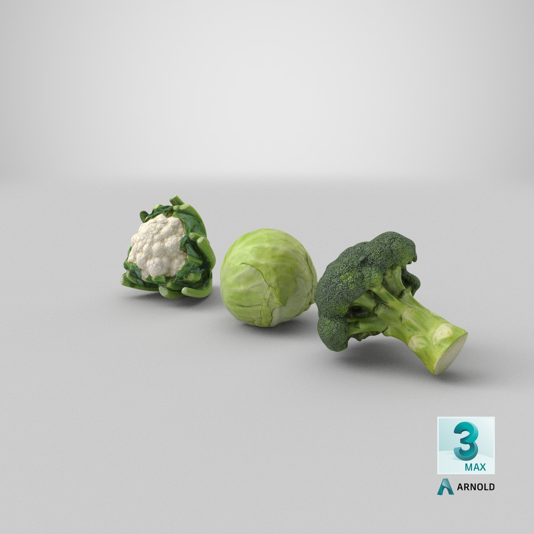 3D Cauliflower Cabbage and Broccoli https://p.turbosquid.com/ts-thumb/Y3/f48Lhm/OP/stemcell_max_arnold_render/png/1648264532/1920x1080/fit_q87/5ce89ad8d3661270bb8e1bc0536e4b199ca38efc/stemcell_max_arnold_render.jpg