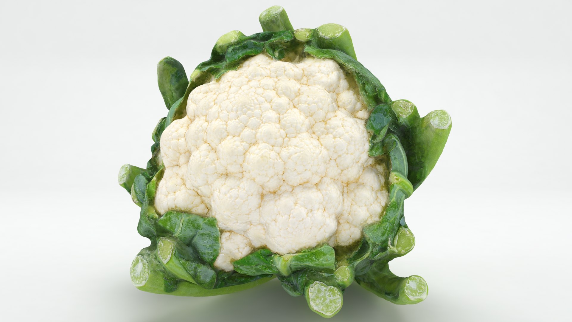 3D Cauliflower Cabbage and Broccoli https://p.turbosquid.com/ts-thumb/Y3/f48Lhm/QX/cauliflower_b0002/jpg/1647073457/1920x1080/fit_q87/bd1bd56e013d3c4ba7fa4e1626e5944456fd9c99/cauliflower_b0002.jpg