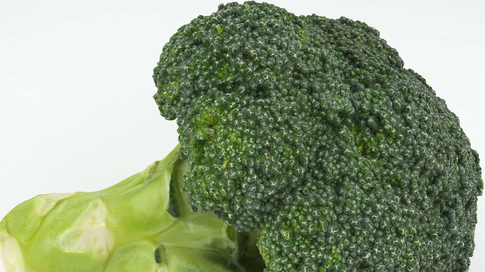 3D Cauliflower Cabbage and Broccoli https://p.turbosquid.com/ts-thumb/Y3/f48Lhm/SE/wholebroccoli_b0013/jpg/1647073388/1920x1080/fit_q87/94b8df4cb3b33bc34a19023efdc27055a585f8a6/wholebroccoli_b0013.jpg