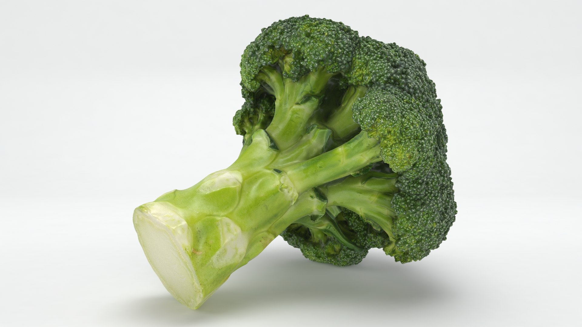 3D Cauliflower Cabbage and Broccoli https://p.turbosquid.com/ts-thumb/Y3/f48Lhm/Wc/wholebroccoli_b0002/jpg/1647073386/1920x1080/fit_q87/c1acd177217a105bc078bc4534d027b8e2f9897e/wholebroccoli_b0002.jpg