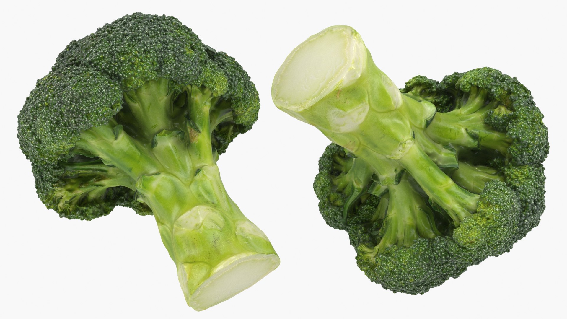 3D Cauliflower Cabbage and Broccoli https://p.turbosquid.com/ts-thumb/Y3/f48Lhm/aQ/wholebroccoli_a0003/jpg/1646469580/1920x1080/fit_q87/61fbc7ebb187516ab4878d28eb74879d4f2f2c4a/wholebroccoli_a0003.jpg