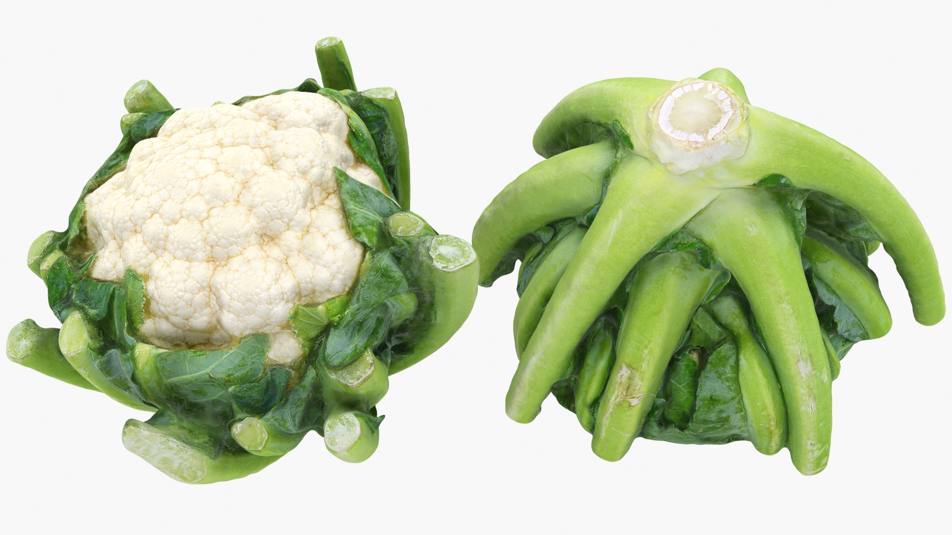 3D Cauliflower Cabbage and Broccoli https://p.turbosquid.com/ts-thumb/Y3/f48Lhm/iP/cauliflower_a0003/jpg/1647073459/1920x1080/fit_q87/bce4ac09075a4a1de74ef8a8230afcbb41611b56/cauliflower_a0003.jpg