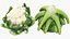 3D Cauliflower Cabbage and Broccoli