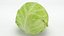 3D Cauliflower Cabbage and Broccoli