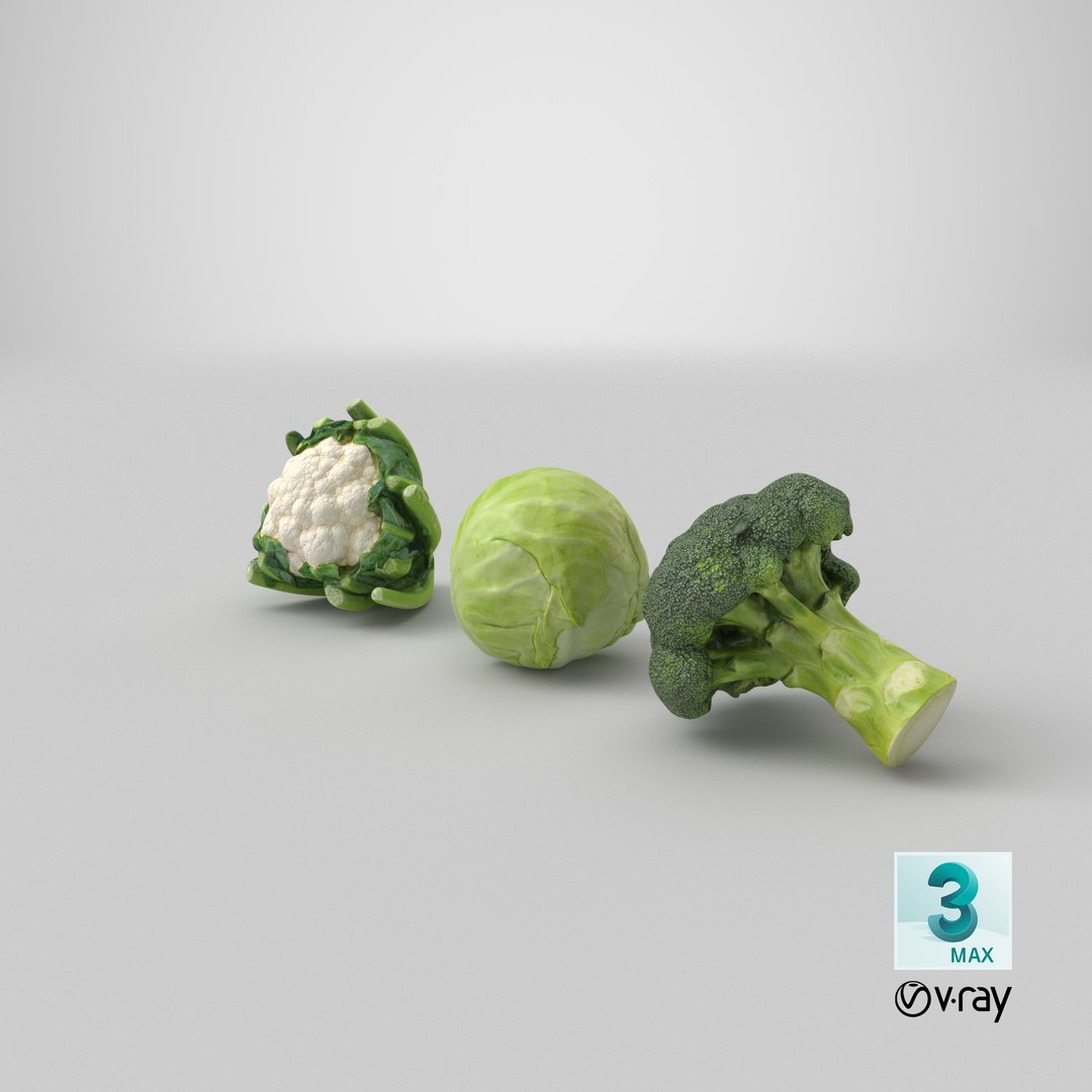 3D Cauliflower Cabbage and Broccoli https://p.turbosquid.com/ts-thumb/Y3/f48Lhm/pH/stemcell_max_vray_render/png/1648264537/1920x1080/fit_q87/6305c8d1efc3fb7f952138957c962666671918fc/stemcell_max_vray_render.jpg