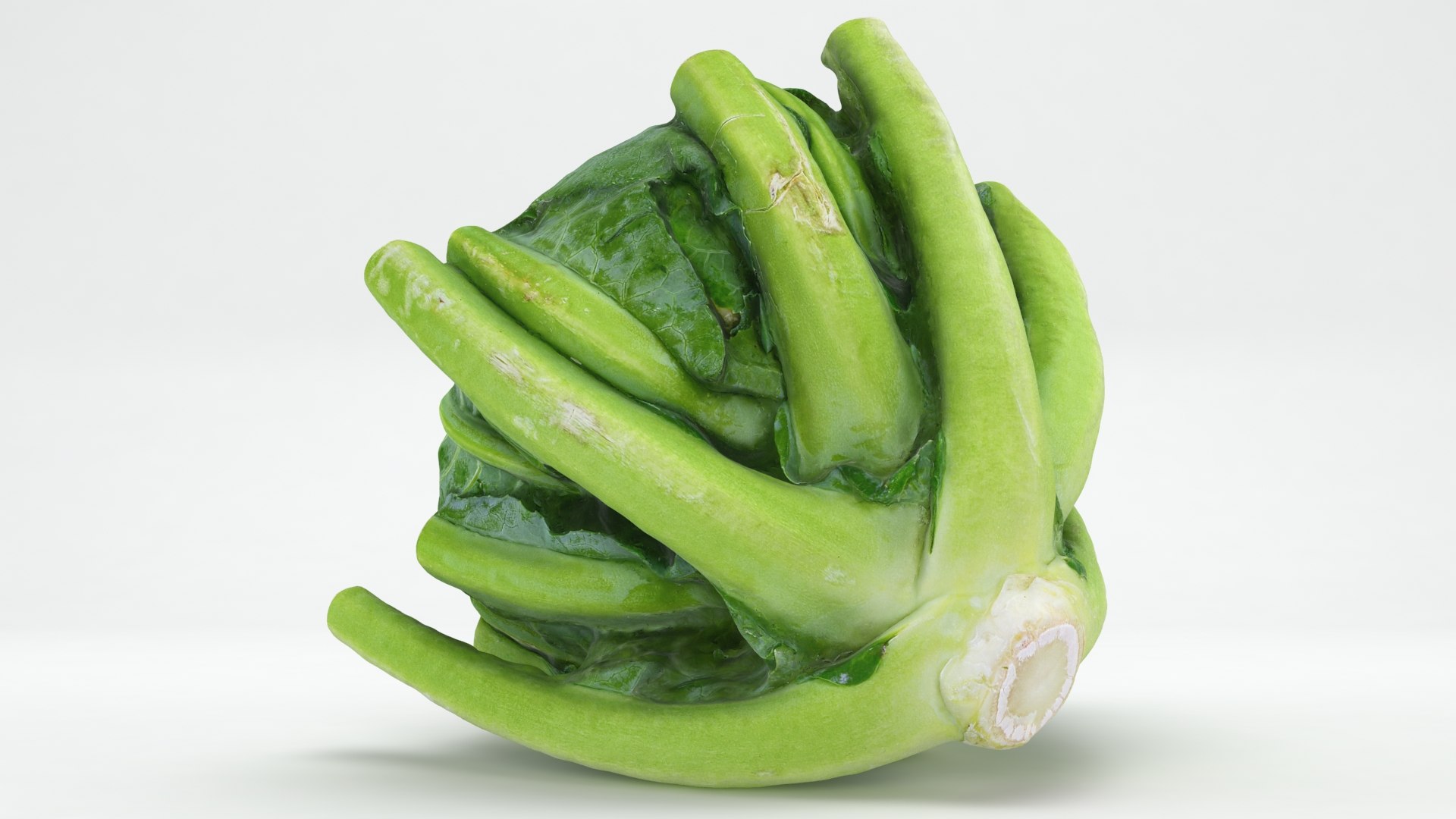 3D Cauliflower Cabbage and Broccoli https://p.turbosquid.com/ts-thumb/Y3/f48Lhm/zC/cauliflower_b0008/jpg/1647073454/1920x1080/fit_q87/a25e81eb2eb759cc454a6920be5c87b374a68358/cauliflower_b0008.jpg