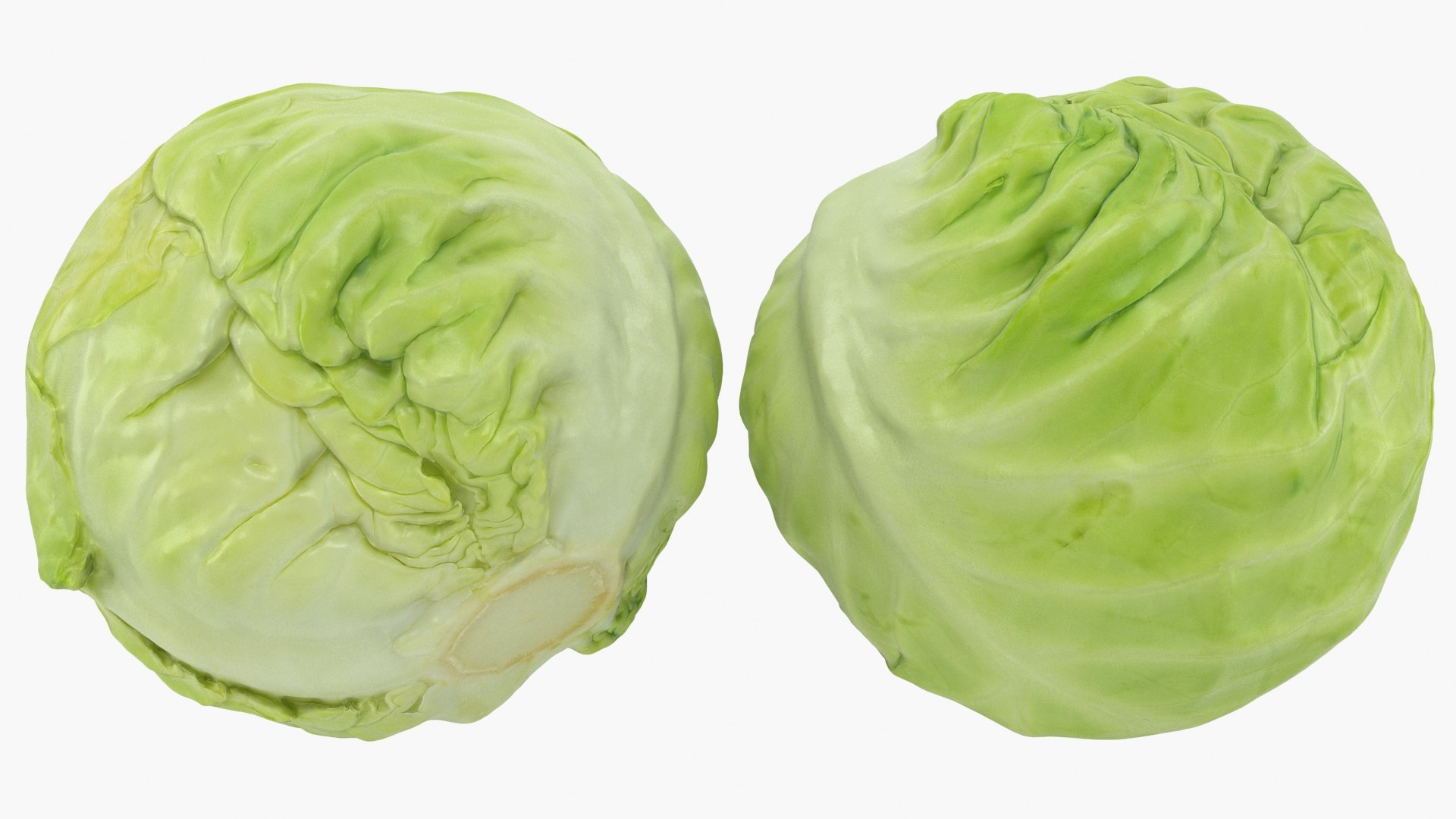 3D Cauliflower Cabbage and Broccoli https://p.turbosquid.com/ts-thumb/Y3/f48Lhm/zm/cabbage_a0002/jpg/1645872516/1920x1080/fit_q87/b6a5de8fea6253aa78caebea8c9a4244f0000b09/cabbage_a0002.jpg