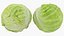 Cauliflower Cabbage and Broccoli