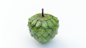 Custard Apple - Cherimoya 3D model