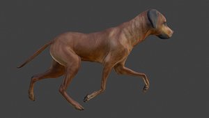 Realistic Running Dog