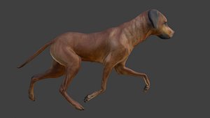 Realistic Running Dog