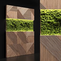 Wooden panels and stabilized moss
