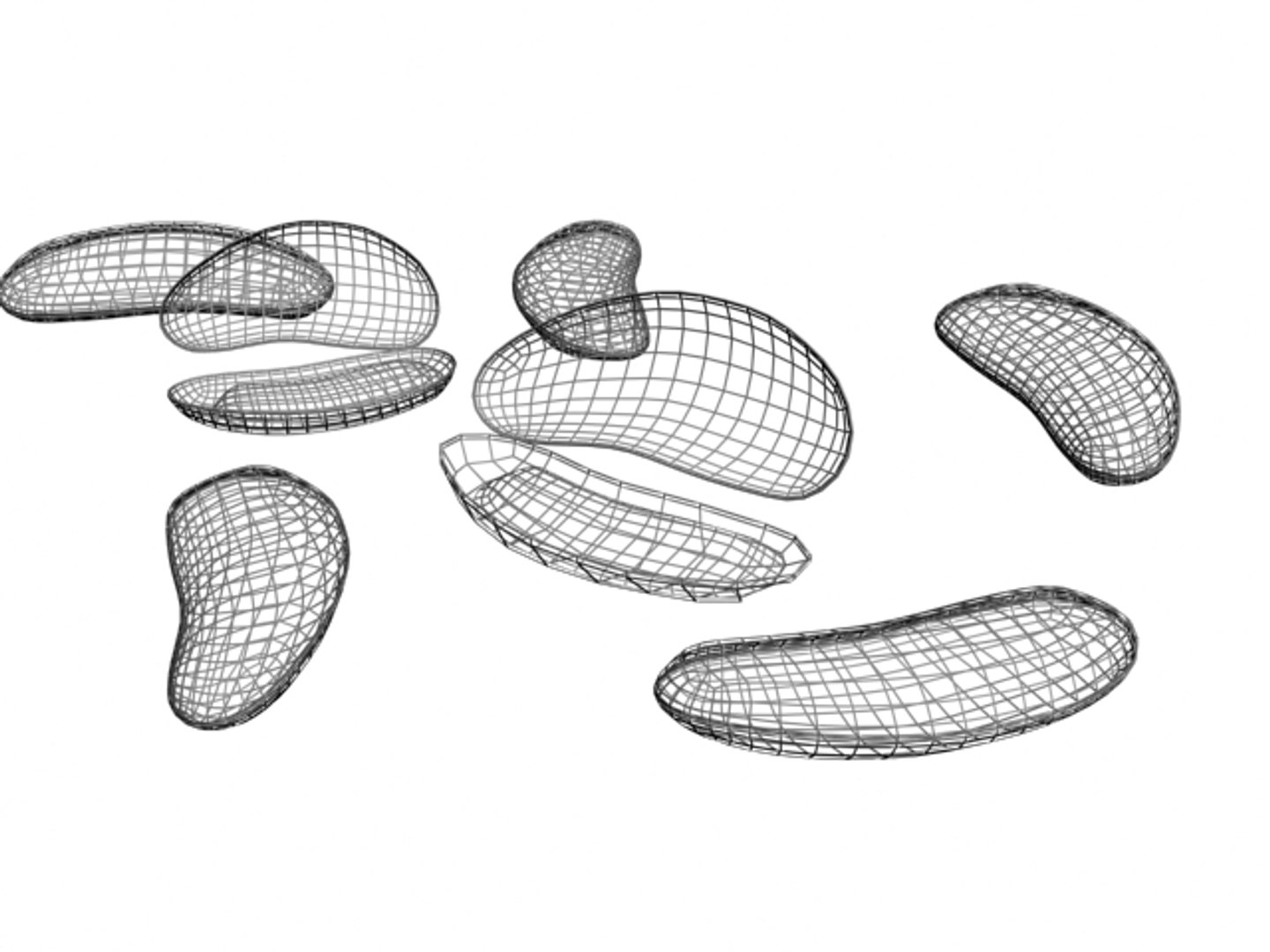 3D Shells Model - TurboSquid 1449062