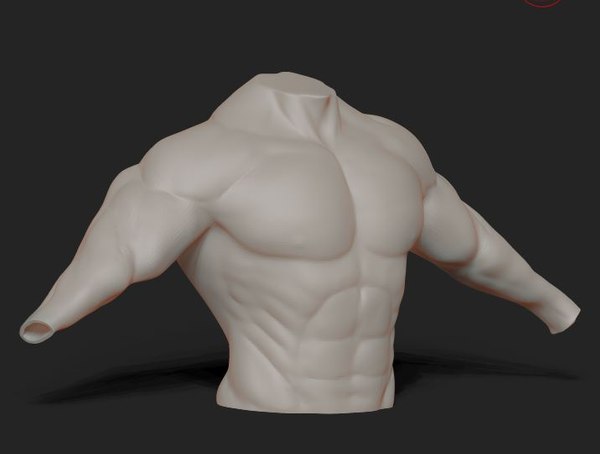 3D upper body man model