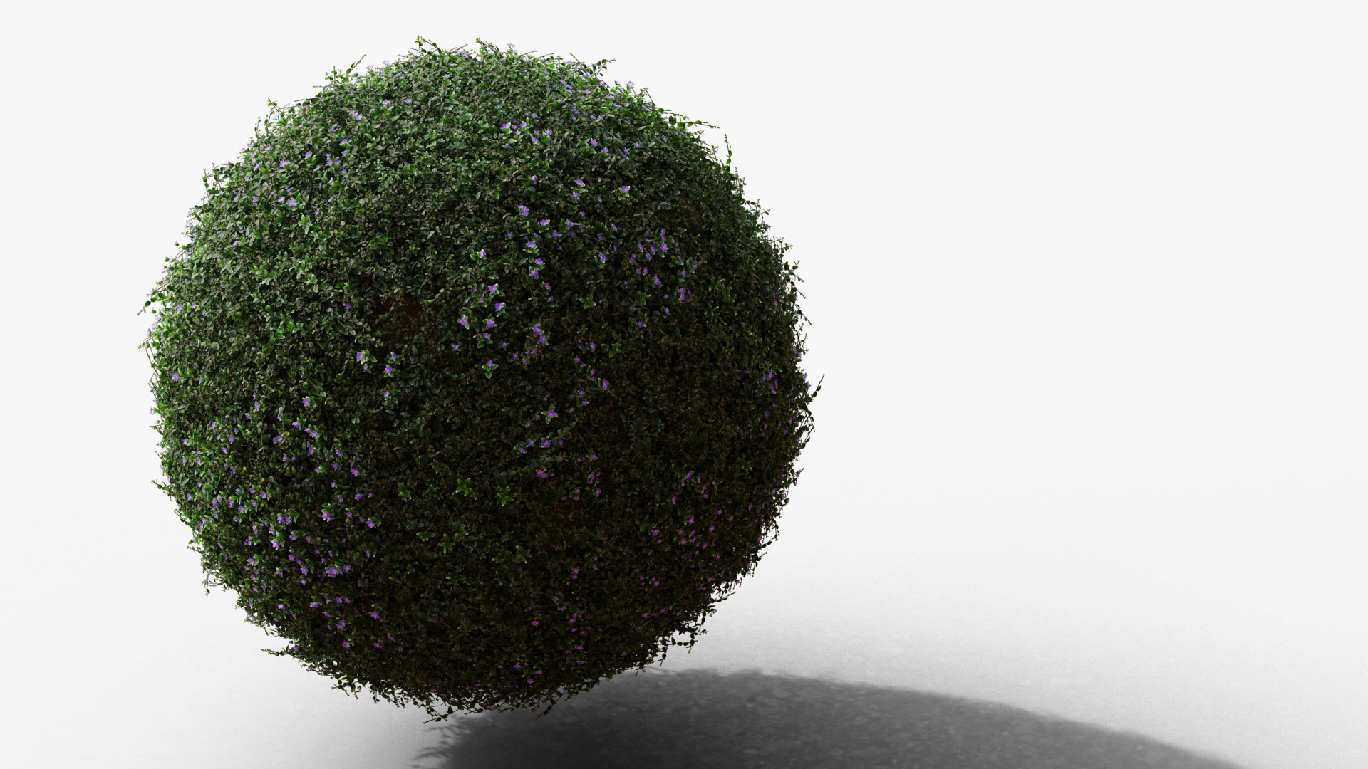 Vinca Minor Model - TurboSquid 1833173
