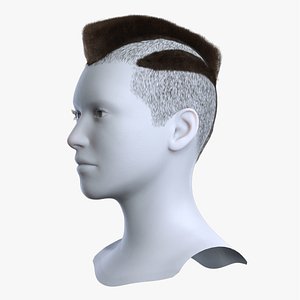 Cyberpunk Wide Mohawk Brown Hair with Shaved Sides 3D Asset 3D model