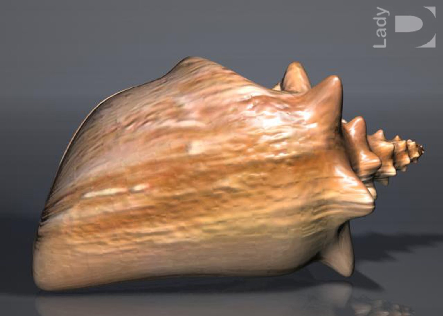 seashell decoration lady 3d model https://p.turbosquid.com/ts-thumb/Y4/49n45d/dkODEm3t/snail_v1_3/jpg/1158772723/1920x1080/fit_q87/f6de0409ebea6b1eae902e4d419ba6ecc4e7a03a/snail_v1_3.jpg