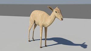 nyala antelope 3d model