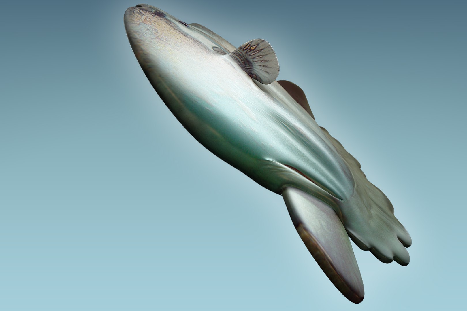 3D Model Sunfish 2 Fish - TurboSquid 1202994