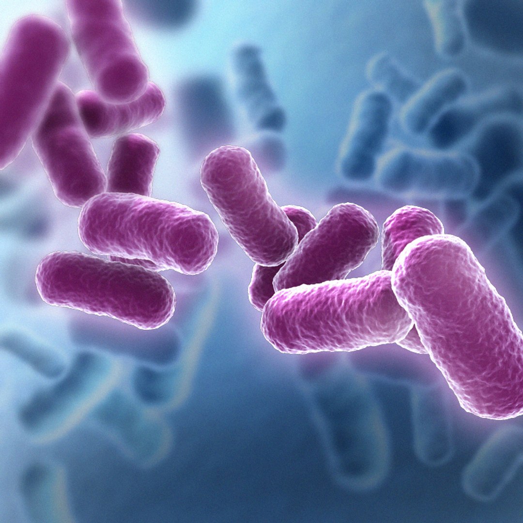 bacterium electron microscope 3d 3ds https://p.turbosquid.com/ts-thumb/Y4/ShbzhF/7cV3tSWw/bac_02/jpg/1154815097/1920x1080/fit_q87/c67851b59a20536f8492a338f77a9d09eeea3a08/bac_02.jpg