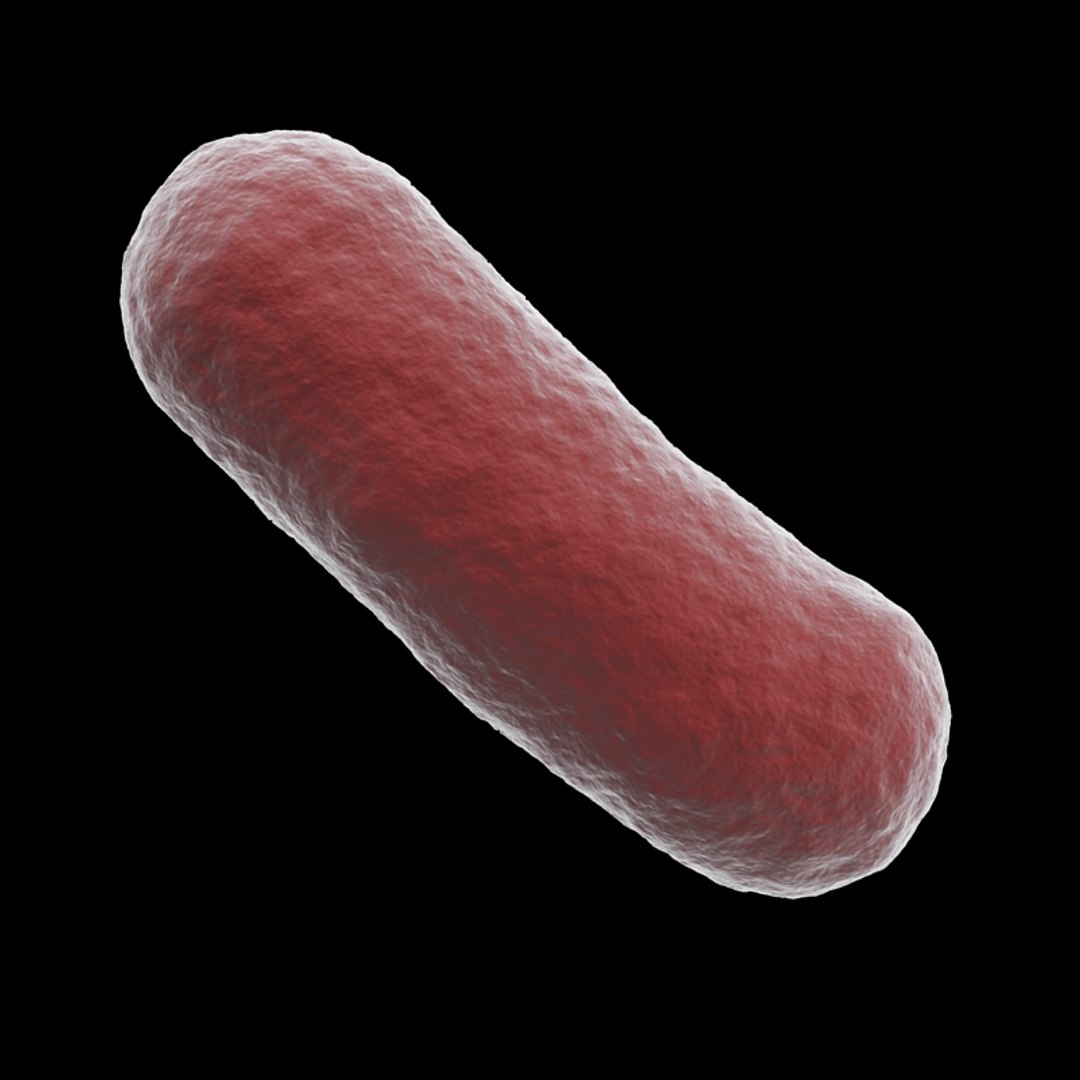 bacterium electron microscope 3d 3ds https://p.turbosquid.com/ts-thumb/Y4/ShbzhF/8XWRls09/bac_05/jpg/1154815297/1920x1080/fit_q87/08a62c42ed50c31844496b9b3910b78d26d4dffd/bac_05.jpg