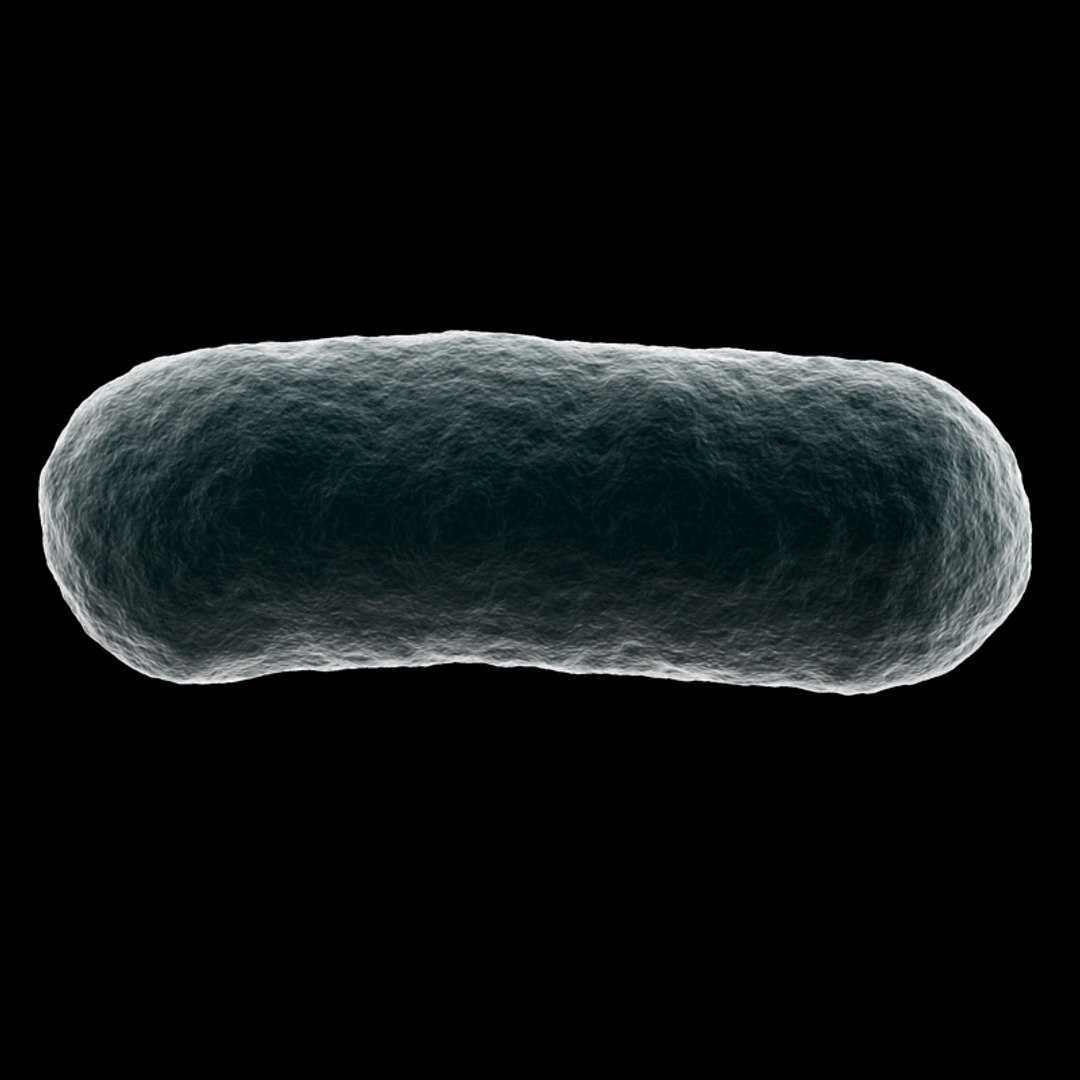 bacterium electron microscope 3d 3ds https://p.turbosquid.com/ts-thumb/Y4/ShbzhF/bprHnE8K/bac_04/jpg/1154815291/1920x1080/fit_q87/5a634737473a0441fac33e1735406e1b40f53d04/bac_04.jpg