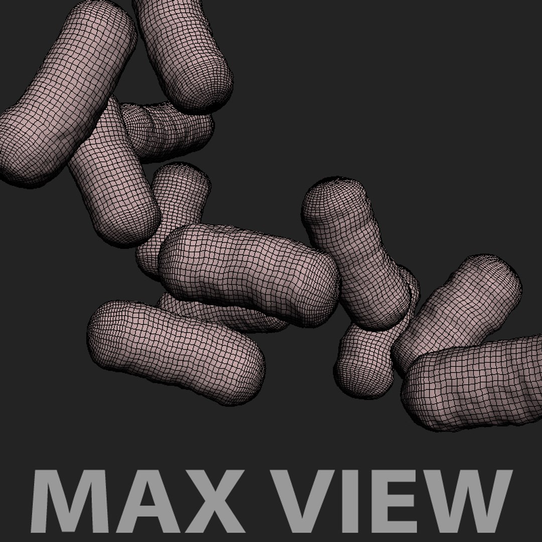 bacterium electron microscope 3d 3ds https://p.turbosquid.com/ts-thumb/Y4/ShbzhF/gsd6sKWs/wireframe/jpg/1154815304/1920x1080/fit_q87/a9cd74a1368877072c2d6a58ff557f9641492bf6/wireframe.jpg