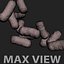 Bacteria  [Bacillus]