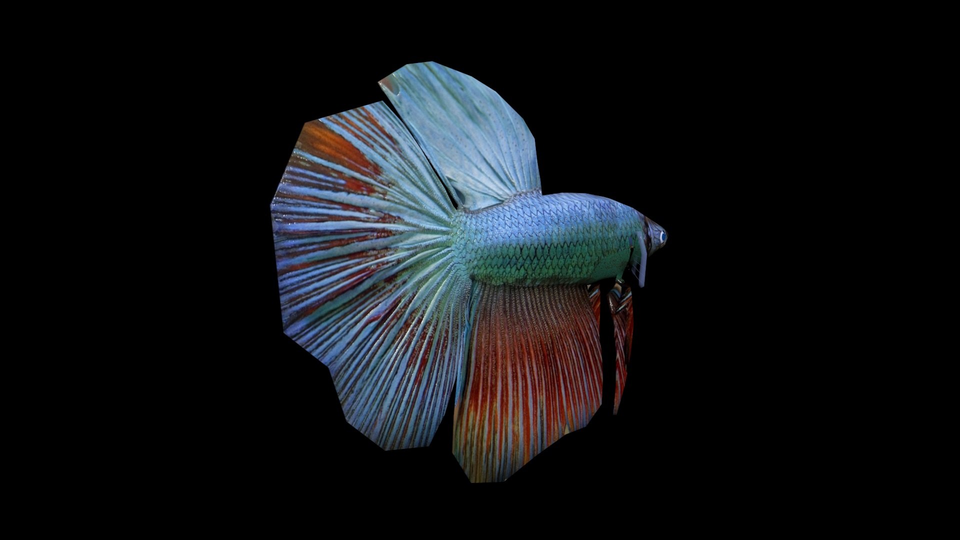 beta 3D https://p.turbosquid.com/ts-thumb/Y4/m558V8/v2ANQNvj/3/jpg/1574166566/1920x1080/fit_q87/8d5c97cd88e59bc00b8add36fe0d6a84cdf38d72/3.jpg