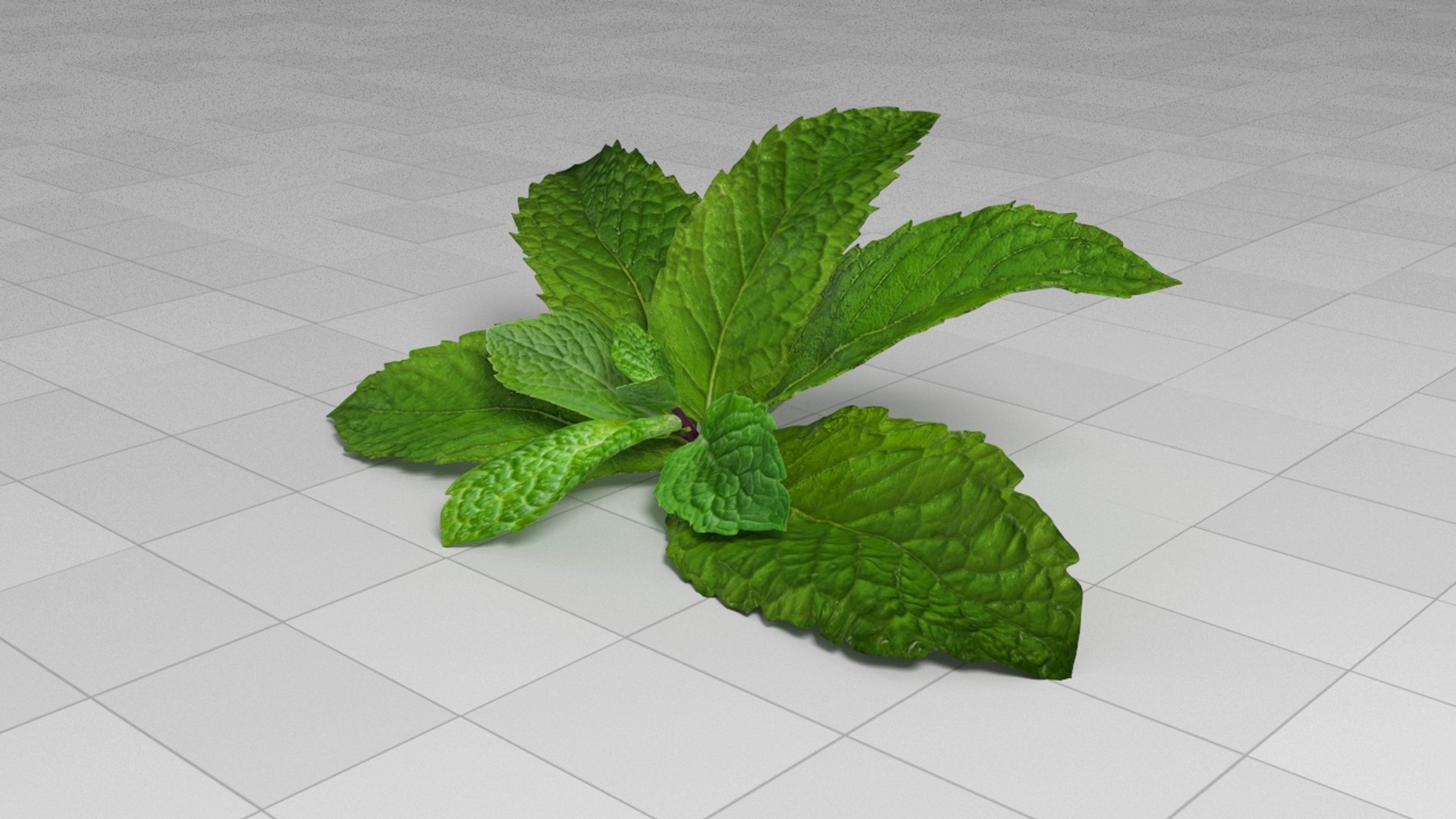 animation 3D model https://p.turbosquid.com/ts-thumb/Y4/mpOr4C/7ya2a3Gg/ment_stat_02/jpg/1584289474/1920x1080/fit_q87/856d296f017bb196e0cca38458db43131fa66f31/ment_stat_02.jpg