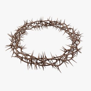 Crown Of Thorns 3