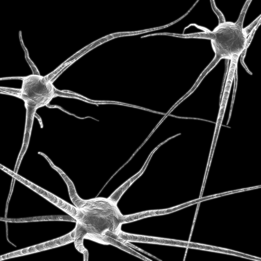 3d Model Of 3 Neurons