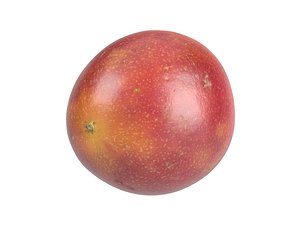 photorealistic scanned passion fruit 3D