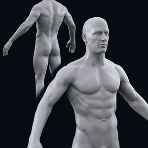 realistic male body 3D model