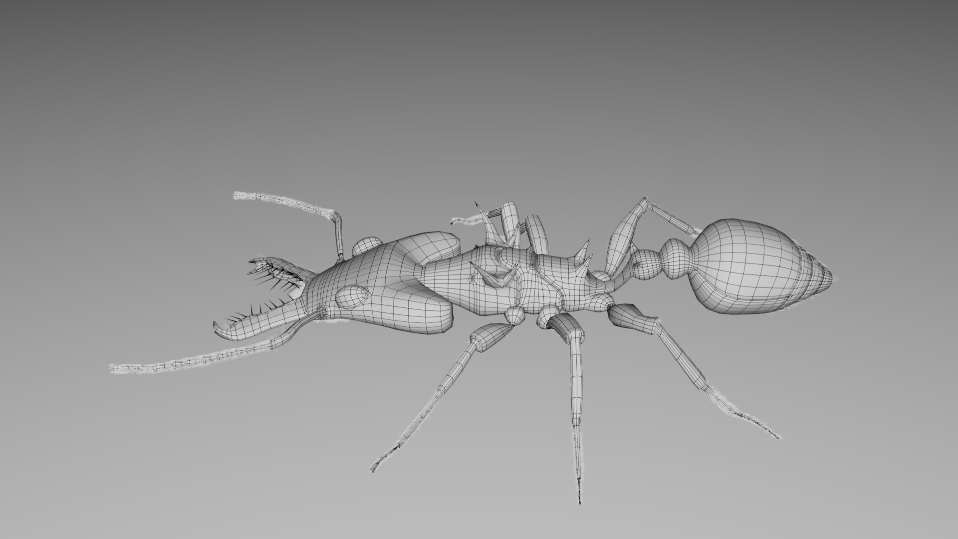Relastic Daceton Armigerum Ant Rigged Animated 8K Textures 3D model https://p.turbosquid.com/ts-thumb/Y4/ywZ2C3/6v/7a/jpg/1744528423/1920x1080/fit_q87/bcaa87e81b1b21d8291896503d282687d534c85f/7a.jpg