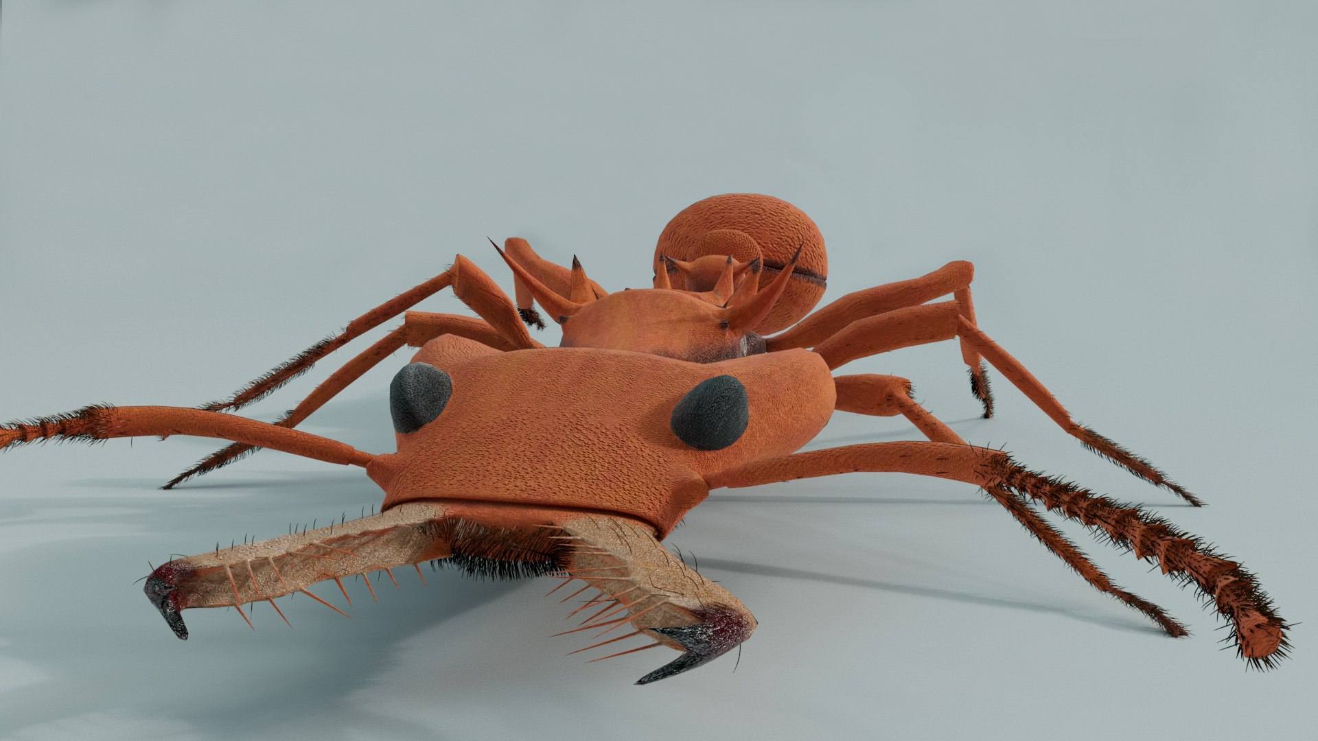 Relastic Daceton Armigerum Ant Rigged Animated 8K Textures 3D model https://p.turbosquid.com/ts-thumb/Y4/ywZ2C3/Yk/6a/jpg/1744528426/1920x1080/fit_q87/4f267892370bf0546a7fd4f00e0aa992e34b8fc3/6a.jpg